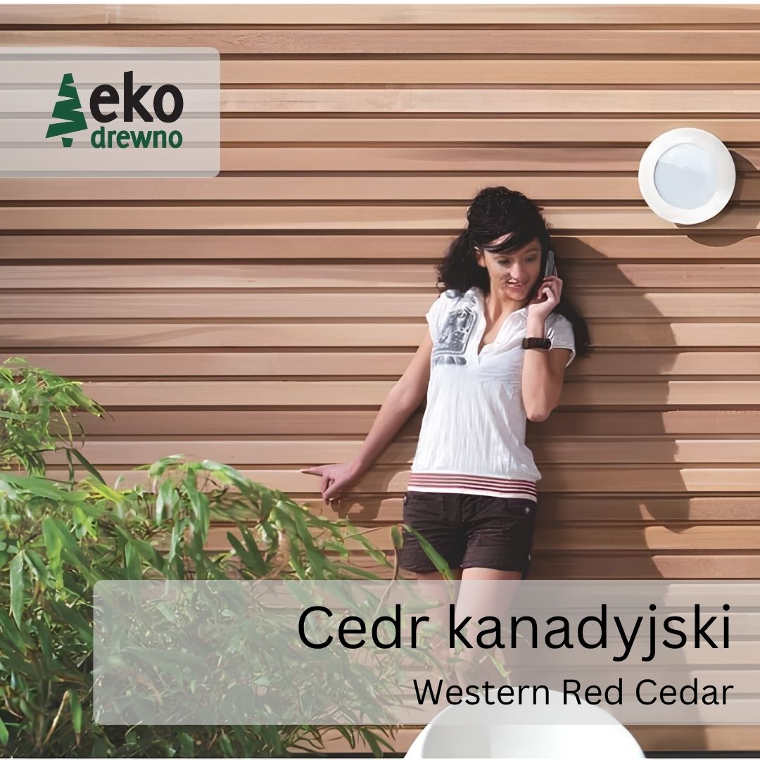 Cedr kanadyjski Western Red Cedar. Deski elewacyjne, deski do sauny, tarcica. EKODREWNO. Wrocław (7) Cedr kanadyjski Western Red Cedar. Deski elewacyjne, deski do sauny, tarcica. EKODREWNO. Wrocław (7)