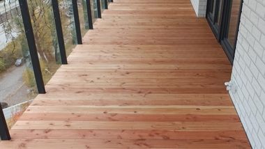 Daglezja kanadyjska Ekodrewno 380×214