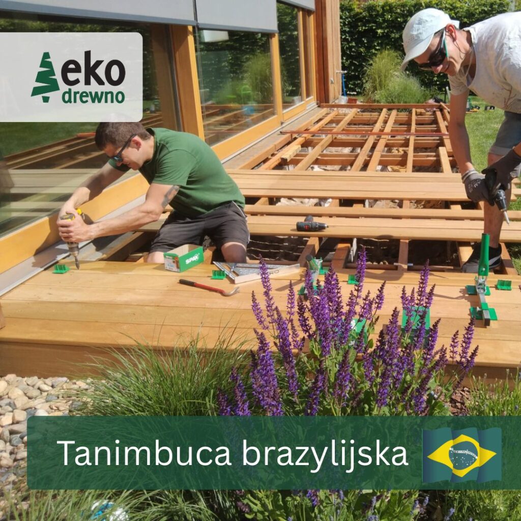 DDeska tarasowa - drewno egzotyczne Tanimbuca Brazylijska EKODREWNO Deska tarasowa - drewno egzotyczne Tanimbuca Brazylijska EKODREWNO
