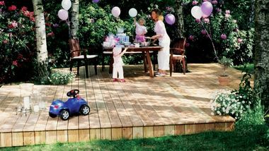 Modrzew zachodni kanadyjski EKODREWNO 380×214